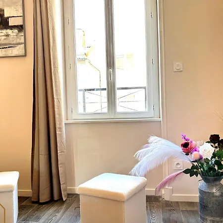 L'ideal Ferdinand - Proche Gare Apartment Roanne